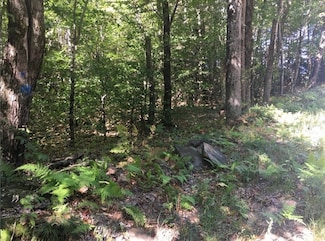 39 Bow St, Plainfield, MA 01070