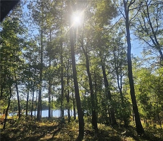 Xxx County Road H, Danbury, WI 54830