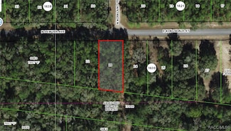 276 E Kingsdale St, Citrus Springs, FL 34434