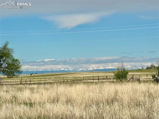 Tract 4 S East Ellicott Rd, Calhan, CO 80808