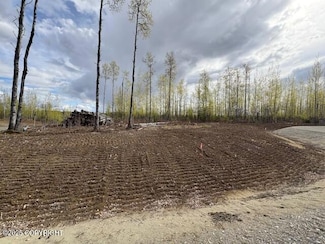 L5 B2 W Peak Cir, Big Lake, AK 99652
