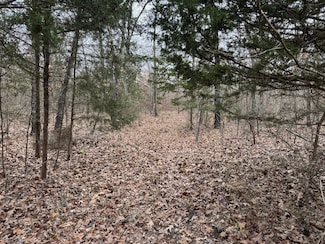 00 Pr 45615, Blossom, TX 75416