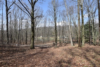 14212 Long Run Rd, Laurelville, OH 43135