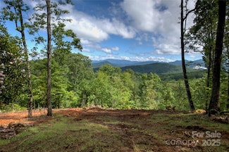 000 Charlie Woody Mountain Rd, Spruce Pine, NC 28777