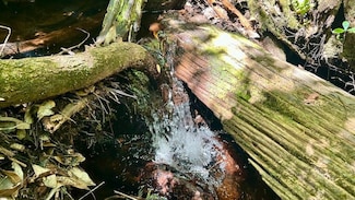 4264 Cleveland Rd Unit LotWP001, Milton, FL 32570