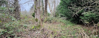 0 SE Southworth Dr, Port Orchard, WA 98366
