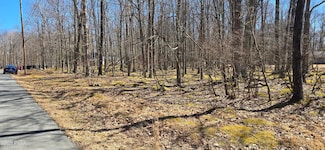 118 & 120 Birchwood Ln, Fawn Lake Forest, PA 18428