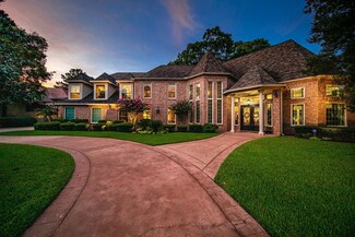 3204 Ivy Falls Dr, Houston, TX 77068