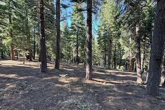 11710 Tundra Dr, Truckee, CA 96161