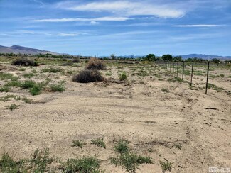 3510 S Hwy 95a, Silver Springs, NV 89429