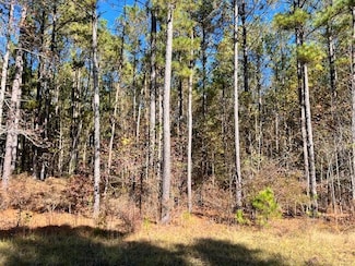 0 Mariners Way Unit Lot 39, Lincolnton, GA 30817