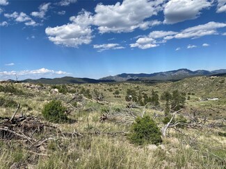 0 Tbd Path E Unit 5578789, Cotopaxi, CO 81223