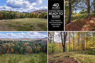 0 Elk Creek Rd, Meredith, NY 13753