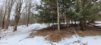 0 E Elk Forest Dr, Canaan Township, PA 18472
