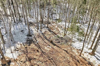 0 Franconia Dr Unit 95 5031825, New Durham, NH 03855