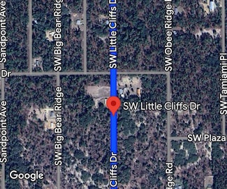 00 SW Little Cliffs Dr, Other, FL 34431