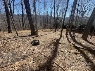 395 Sugar Tree Ln, Mars Hill, NC 28754