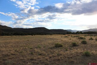 0225 Sioux Trail, South Fork, CO 81154