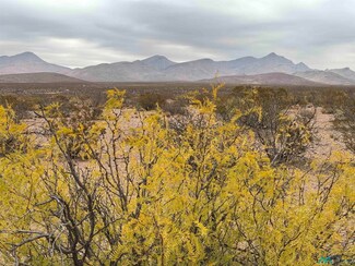 46 Norrick Rd, Rodeo, NM 88056