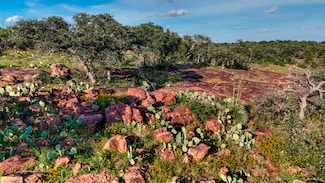 19800 State Highway 71, Llano, TX 78643