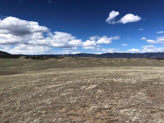 302 Ramrod Path, Jefferson, CO 80456