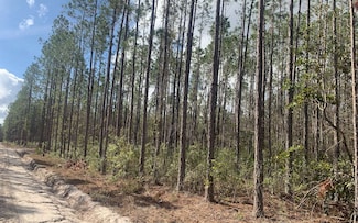TDB 25th Dr, Jasper, FL 32052