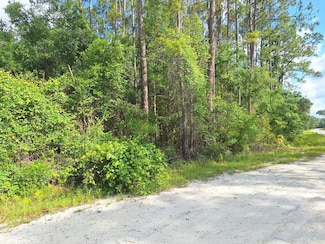 Lot 39 NE 512th St, Old Town, FL 32680
