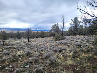 Unit 2 Lot 592 Lazo Ln Unit 2, Dorris, CA 96023