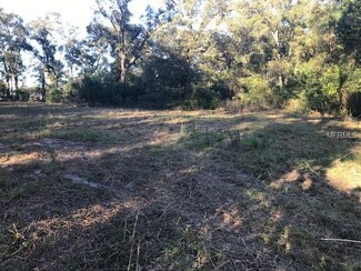 6907 Holly St, Mount Dora, FL 32757
