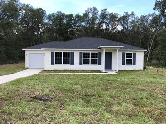 100 Guava Pass, Ocklawaha, FL 32179