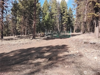 45 Spring Meadow Ln, Oroville, WA 98844