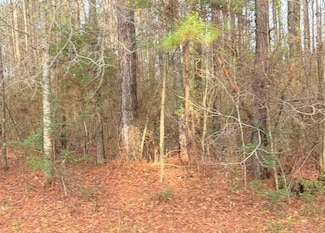 295 Hide a Way Ln, Carriere, MS 39426