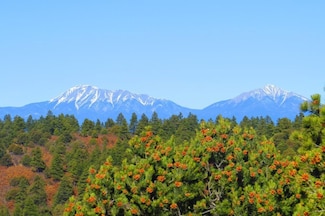 0 Lodgepole Trace, Trinidad, CO 81082