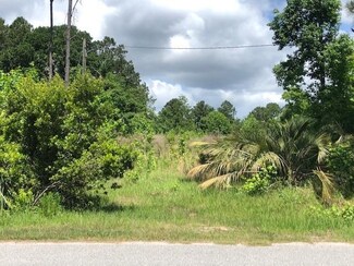 Lot 48 Forest Marsh Loop, Townsend, GA 31331