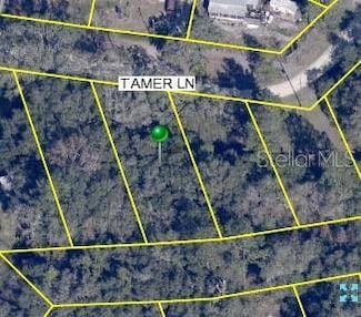 0 Tamer Ln Unit 11491317, Dade City, FL 33523