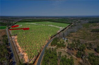 0 Hamburg State Park Rd Unit 7544428, Warthen, GA 31094