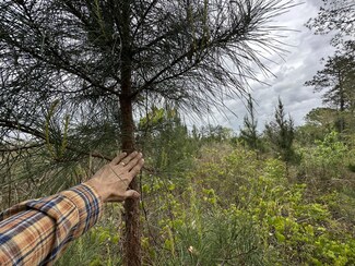 Tract#6103 E Lloyd Mill Rd, Other, AL 00N/A