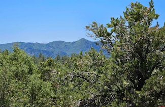 73 Wayne's Ct, Pagosa Springs, CO 81147