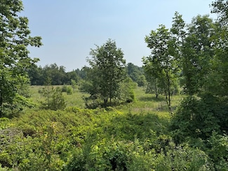 Lot 2 Division Rd, Egg Harbor, WI 54209