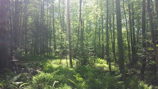 499 Cole Hill Rd, Morrisville, VT 05661
