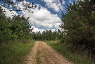 0 Old State Hwy Unit 10203794, Sugar Tree, TN 38380