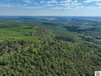 000 State Route 1433 Unit Lookout Tower Ro, Salem, KY 42078