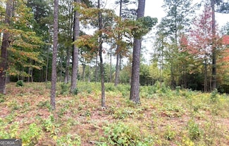 1805 County Road 103, Mentone, AL 35984