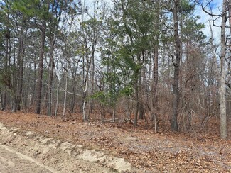 01 Ripley Ct, Elloree, SC 29047