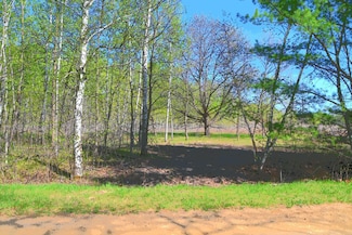 Lot 51 Block 12 Poplar Ln, Fawn Lake Township, MN 56438