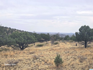 XX N Swan St, Silver City, NM 88061