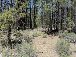 0 National Forest Development Road 9768 Unit TL 300, Crescent, OR 97733
