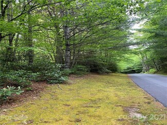 Lot 10 Indian Lake Rd, Hogback, NC 28747