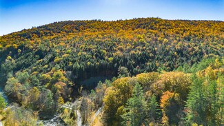 00 Hunter Brook Rd, South Newfane, VT 05351