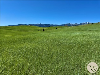 2 Turnback Trail, Red Lodge, MT 59068